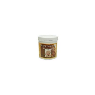 fenioux-regal-proteine-minceur-chocolat-350-g